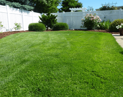 LAWN CARE SERVICES